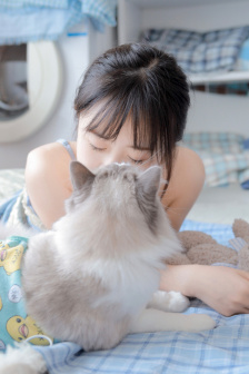 在线聊天